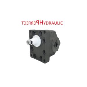 Hydraulikpumpe Forstanhänger Pumpe BG3 43,5cc Größe 3 Gusseisen LM42 25702192