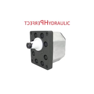 Hydraulikpumpe Forstanhänger Pumpe BG3 Größe 3 LM33 T3 hintere Anschlüsse 33 cc