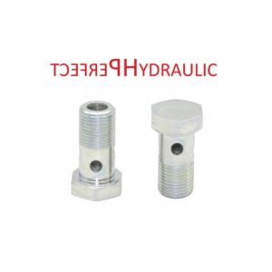 Hydraulik Hohlschraube - BSP und Metrisches